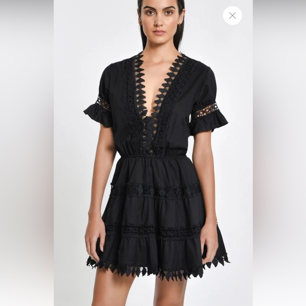 Peixoto Oro dress NWT